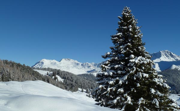 Prätsch (Foto: Andreas Pfister)